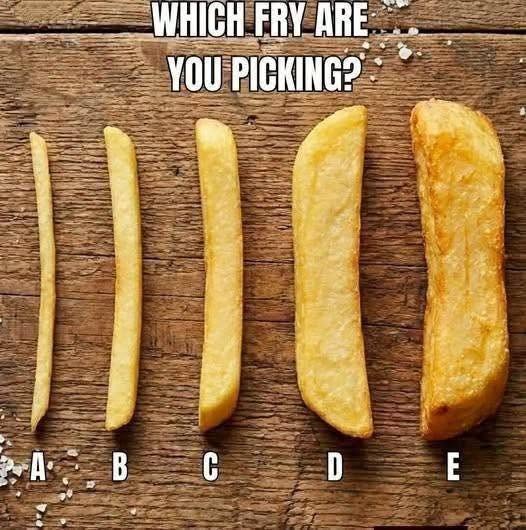 Which French Fry Would You Choose