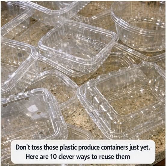 Don’t toss those plastic produce containers just yet. Here are 10 clever ways to reuse them