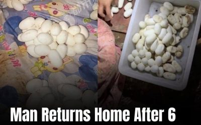 Imagine the scenario: you’ve been away from home for six months. Maybe you …