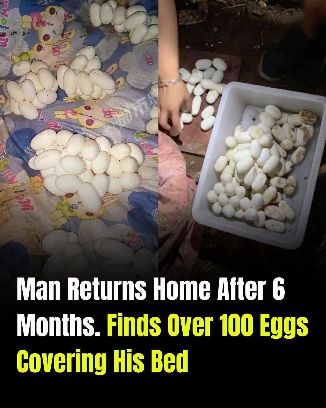 Imagine the scenario: you’ve been away from home for six months. Maybe you …