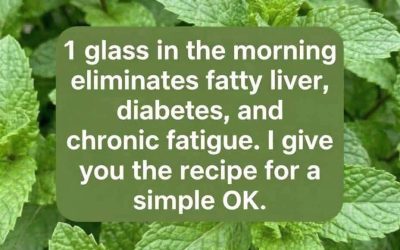 Peppermint juice with lemon: benefits, medicinal uses and how to prepare it correctly