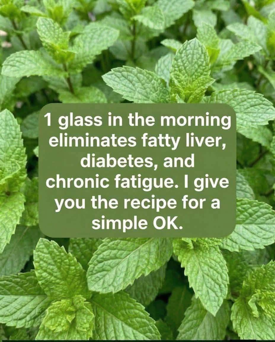 Peppermint juice with lemon: benefits, medicinal uses and how to prepare it correctly