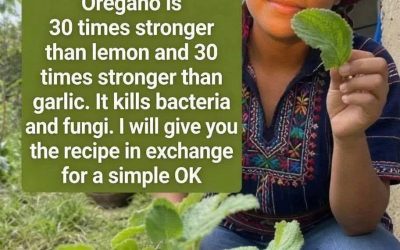 Complete Guide to Garlic and Oregano Infusion: A Traditional Herbal Drink for Everyday Wellness