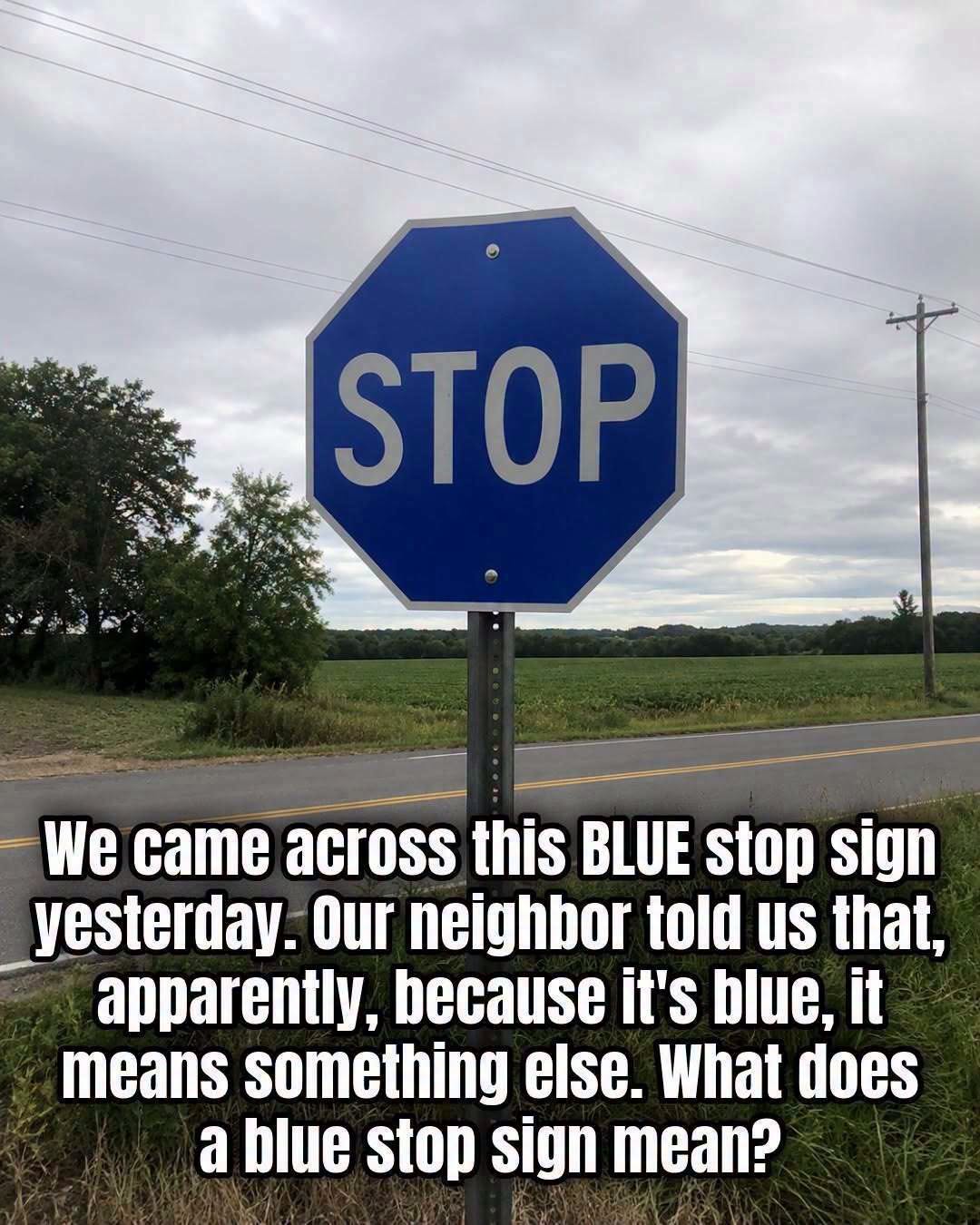 What Does a Blue Stop Sign Mean? Here’s What You Should Know